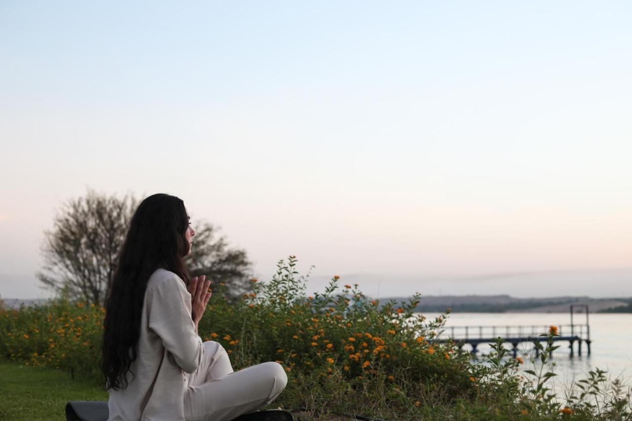 The Zen Wellness Resort أسوان المظهر الخارجي الصورة